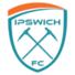 叶士域治城